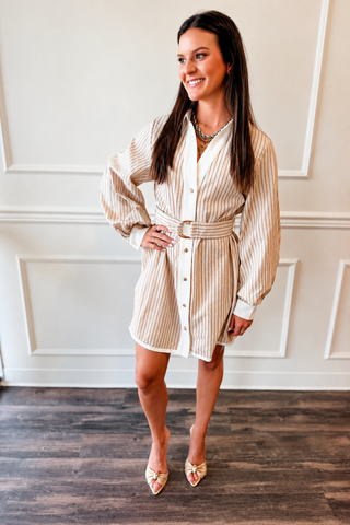 Camden Striped Button-Down Shirt Dress – Taupe & Black