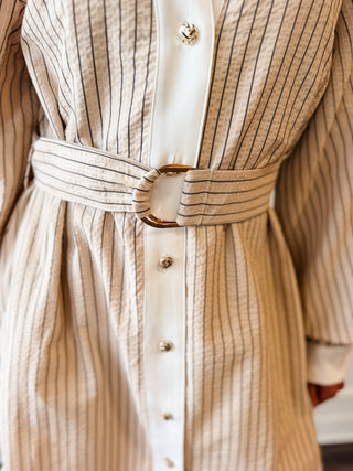 Camden Striped Button-Down Shirt Dress – Taupe & Black