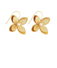 The Golden Muse Collection