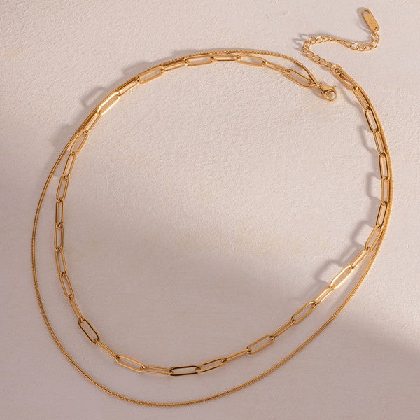 Double Chain Necklace