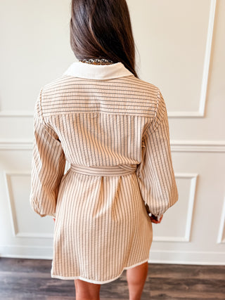 Camden Striped Button-Down Shirt Dress – Taupe & Black