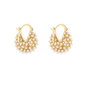 Modern Gold Everyday Earrings Collection