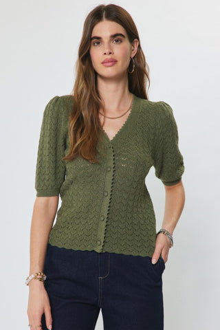 Willow Pointelle Olive Crochet Cardigan by Current Air